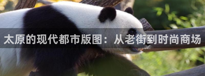 华润国际娱乐