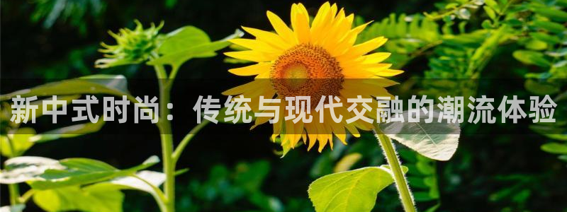 华润娱乐麻将客服电话