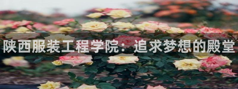 华润娱乐用
