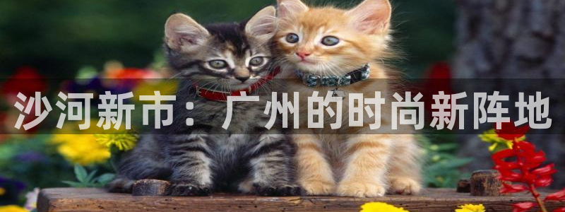 崇左华润娱乐设施招聘