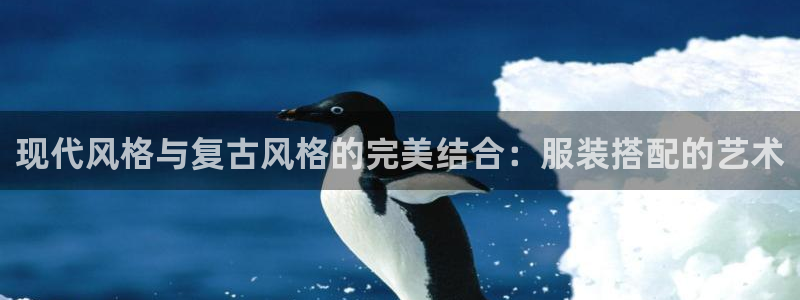 华润娱乐总管是谁呀老板：现代风格与复古风