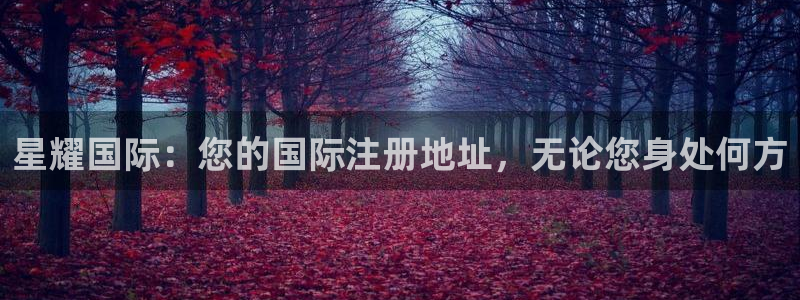 7790cnm必发集团登录