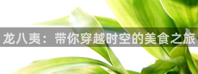 必发集团网站app