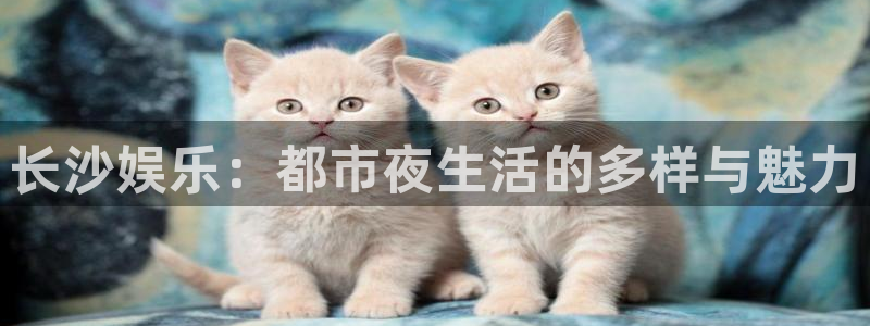7790必发集团app客服