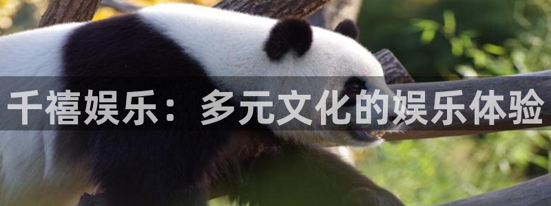 必发集团下载