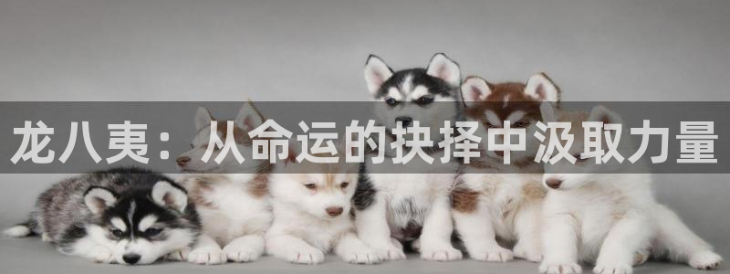 必发集团官网