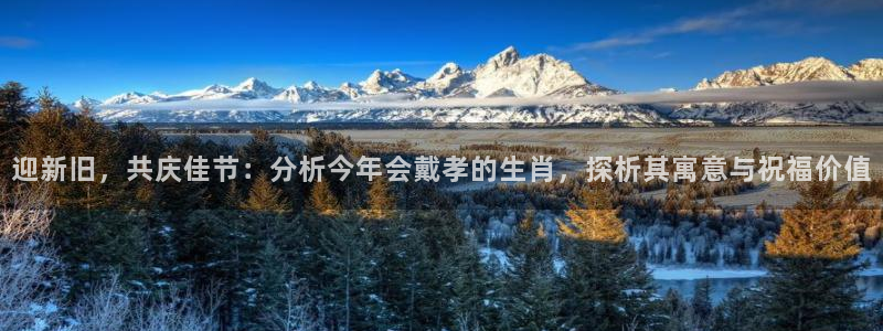 7790必发集团app下载安装