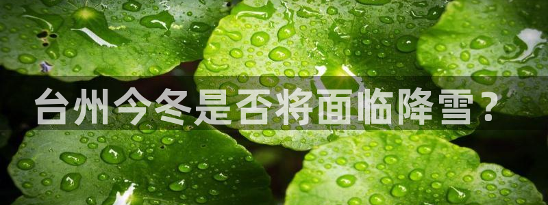 必发集团官网