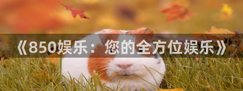 必发集团官网登录