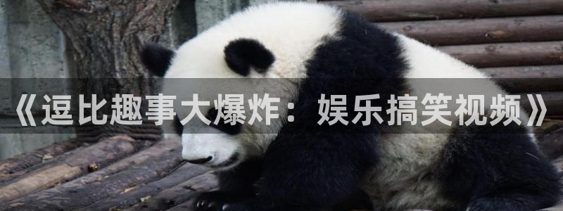 7790cnm必发集团