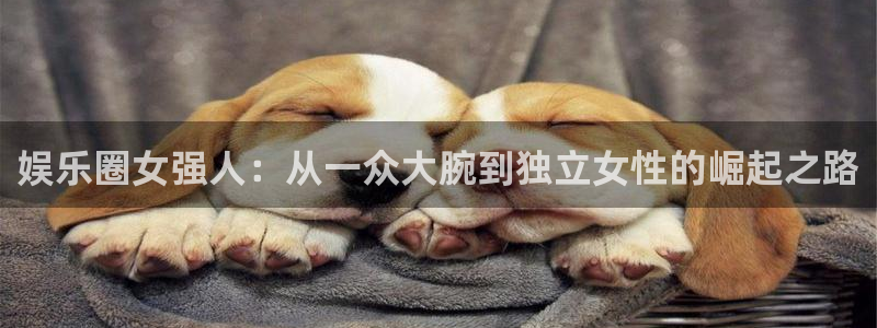 7790必发集团官网入口