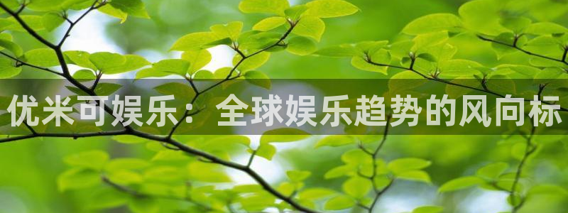 必发集团app下载安装