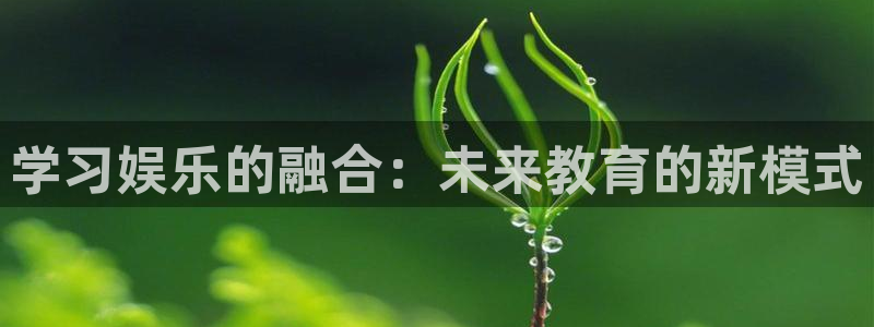 必发集团网址：学习娱乐的融合：未来教育的新模式
