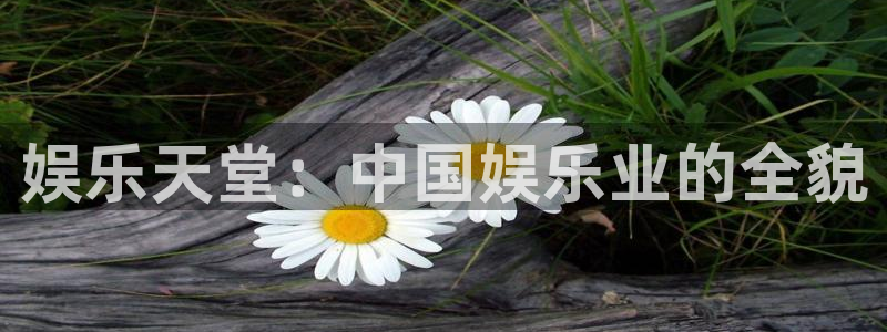 7790cnm必发集团登录：娱乐天堂：中国娱乐业的全貌