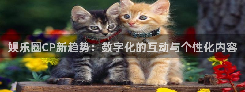 7790必发集团登录入口：娱乐圈CP新趋势：数字化的互动与个性化内容