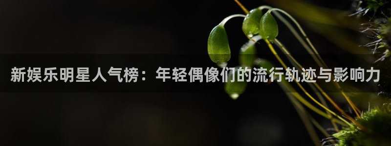 7790必发集团登录：新娱乐明星人气榜：年轻偶像们的流行轨迹与影响力