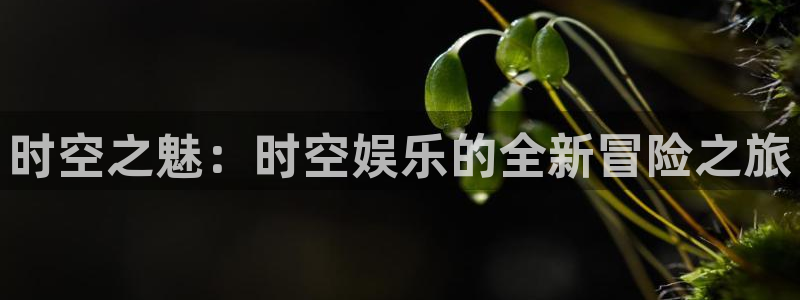 7790必发集团客服：时空之魅：时空娱乐的全新冒险之旅