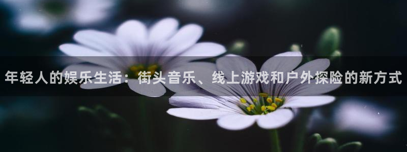 必发集团app下载：年轻人的娱乐生活：街头音乐、线上游戏和户外探险的新方式