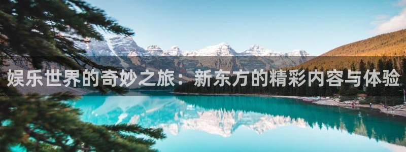 7790必发集团app官网最新版本：娱乐世界的奇妙之旅：新东方的精彩内容与体验
