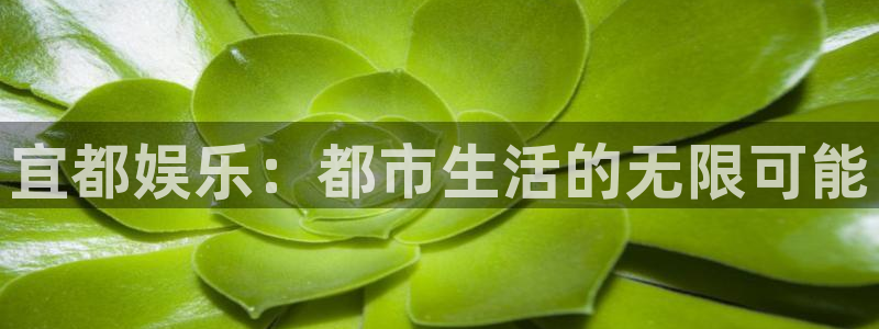 7790必发集团官网：宜都娱乐：都市生活的无限可能