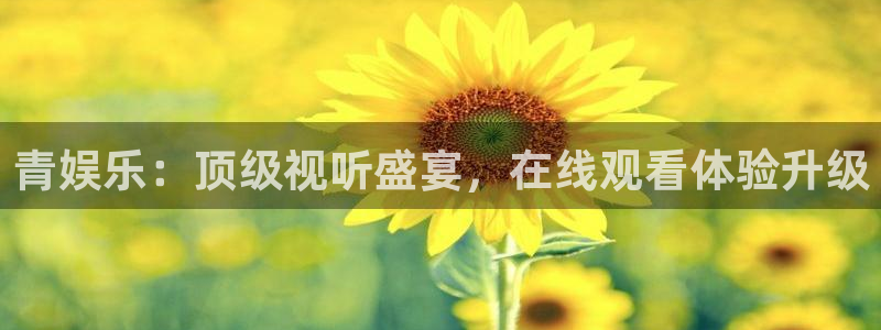 必发集团网站app：青娱乐：顶级视听盛宴，在线观看体验升级