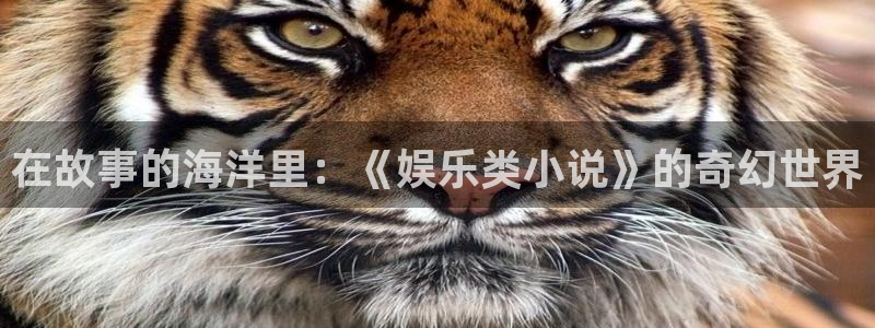 7790cnm必发集团下截：在故事的海洋里：《娱乐类小说》的奇幻世界