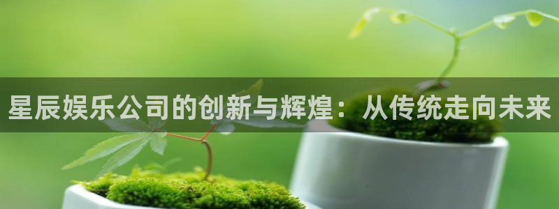 必发集团游戏官网：星辰娱乐公司的创新与辉煌：从传统走向未来