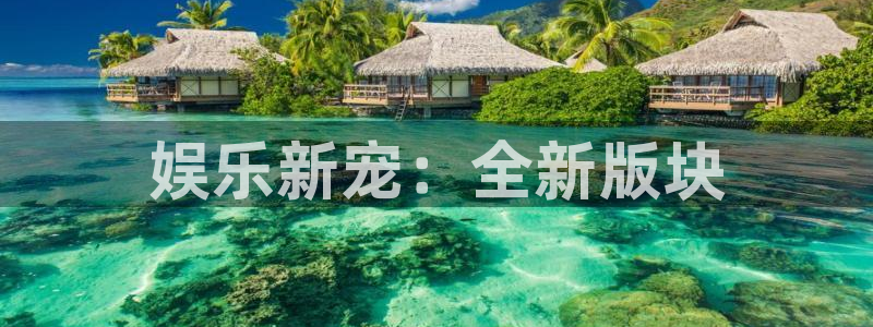 7790必发集团网址：娱乐新宠：全新版块