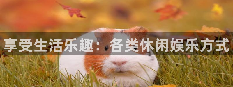 7790必发集团客服：享受生活乐趣：各类休闲娱乐方式